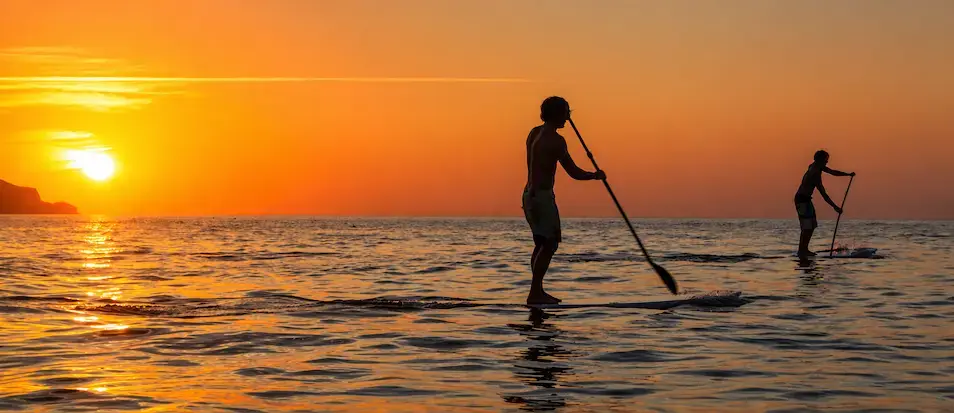 Paddle Surf