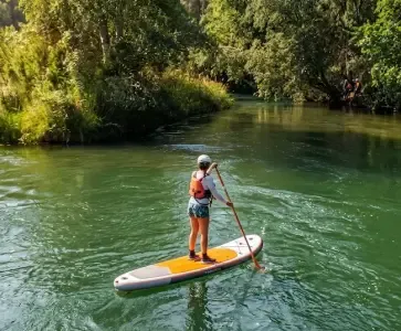 Paddle River