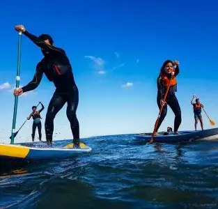 Paddle Surf